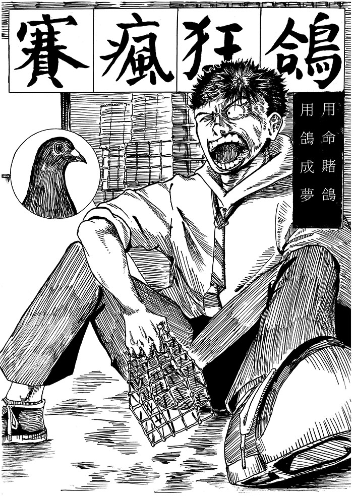 賽瘋狂鴿